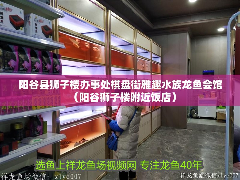 陽谷縣獅子樓辦事處棋盤街雅趣水族龍魚會館（陽谷獅子樓附近飯店）