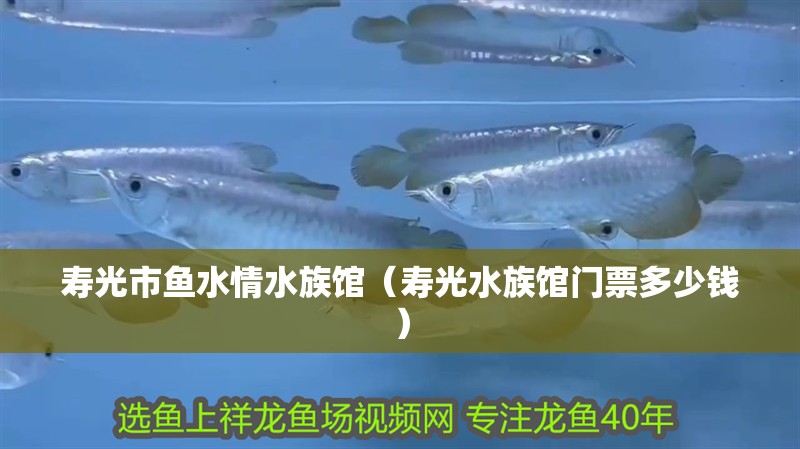 壽光市魚水情水族館（壽光水族館門票多少錢）
