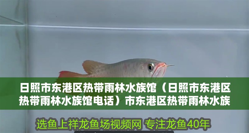 日照市東港區熱帶雨林水族館（日照市東港區熱帶雨林水族館電話）市東港區熱帶雨林水族館，探索自然奇