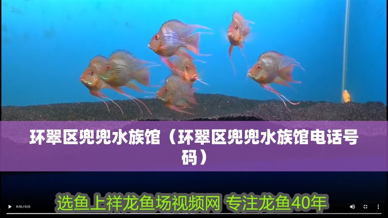環翠區兜兜水族館（環翠區兜兜水族館電話號碼）