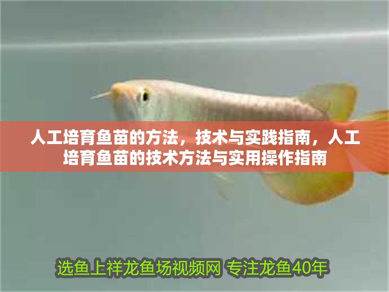 人工培育魚苗的方法，技術與實踐指南，人工培育魚苗的技術方法與實用操作指南