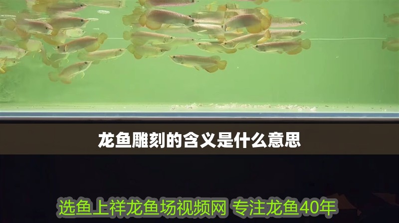 龍魚雕刻的含義是什么意思