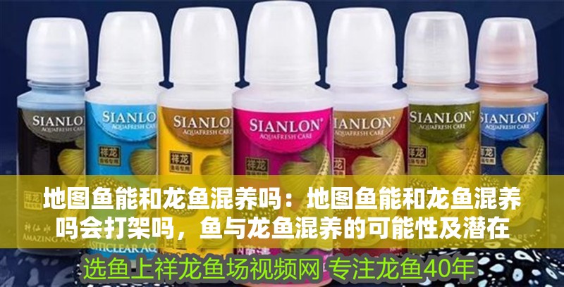 地圖魚能和龍魚混養嗎：地圖魚能和龍魚混養嗎會打架嗎，魚與龍魚混養的可能性及潛在