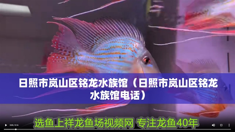 日照市嵐山區銘龍水族館（日照市嵐山區銘龍水族館電話）