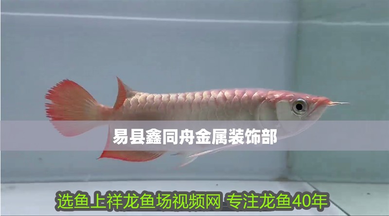 易縣鑫同舟金屬裝飾部