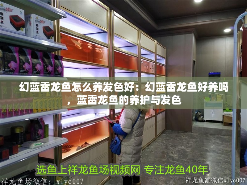 幻藍(lán)雷龍魚(yú)怎么養(yǎng)發(fā)色好：幻藍(lán)雷龍魚(yú)好養(yǎng)嗎，藍(lán)雷龍魚(yú)的養(yǎng)護(hù)與發(fā)色