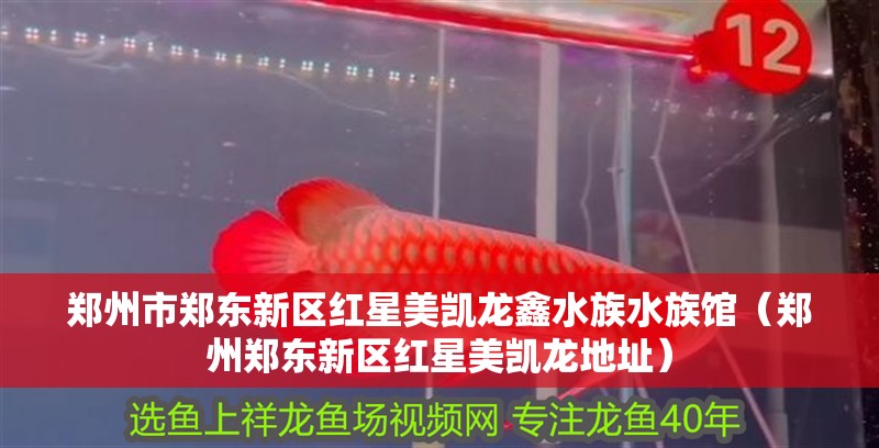鄭州市鄭東新區紅星美凱龍鑫水族水族館（鄭州鄭東新區紅星美凱龍地址）