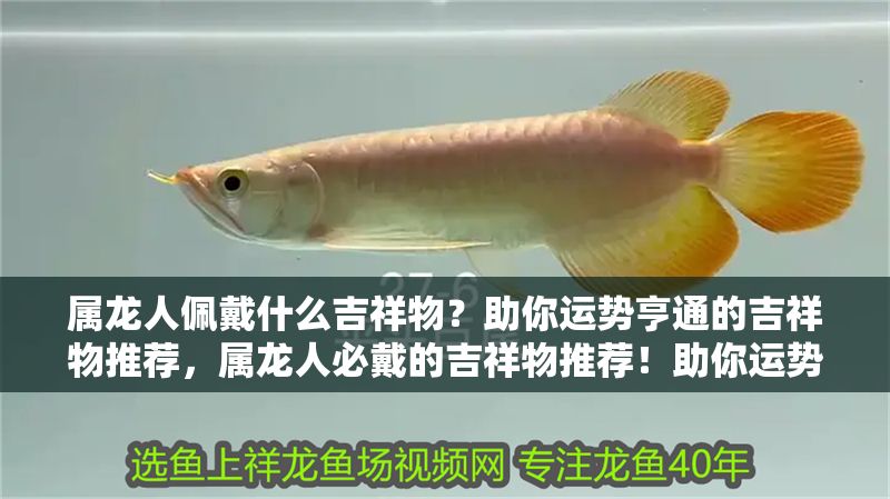 屬龍人佩戴什么吉祥物？助你運(yùn)勢亨通的吉祥物推薦，屬龍人必戴的吉祥物推薦！助你運(yùn)勢亨通、龍氣沖天