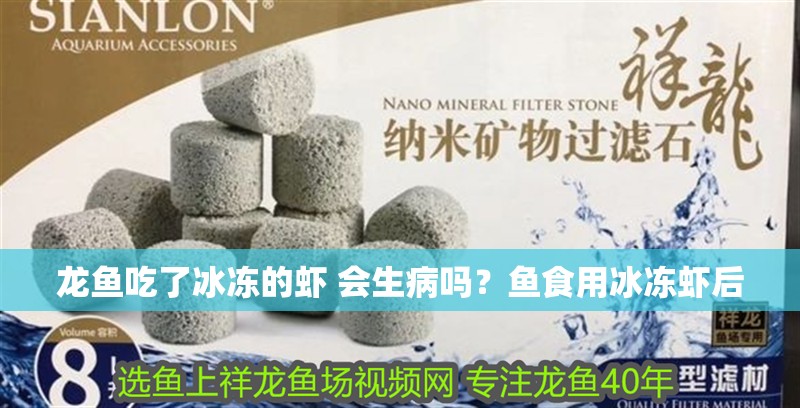 龍魚吃了冰凍的蝦 會生病嗎？魚食用冰凍蝦后