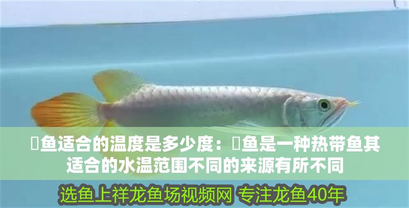 魟魚適合的溫度是多少度：魟魚是一種熱帶魚其適合的水溫范圍不同的來源有所不同