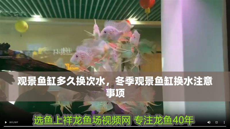 觀景魚缸多久換次水，冬季觀景魚缸換水注意事項
