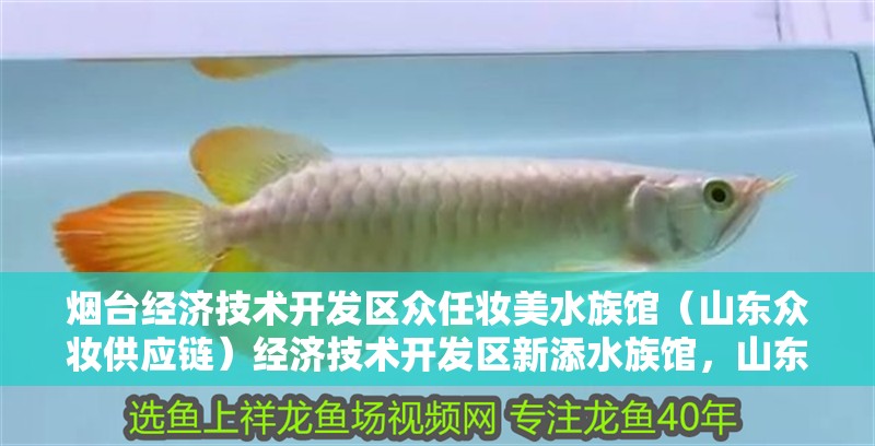 煙臺(tái)經(jīng)濟(jì)技術(shù)開發(fā)區(qū)眾任妝美水族館（山東眾妝供應(yīng)鏈）經(jīng)濟(jì)技術(shù)開發(fā)區(qū)新添水族館，山東眾妝供應(yīng)鏈打造海洋生物