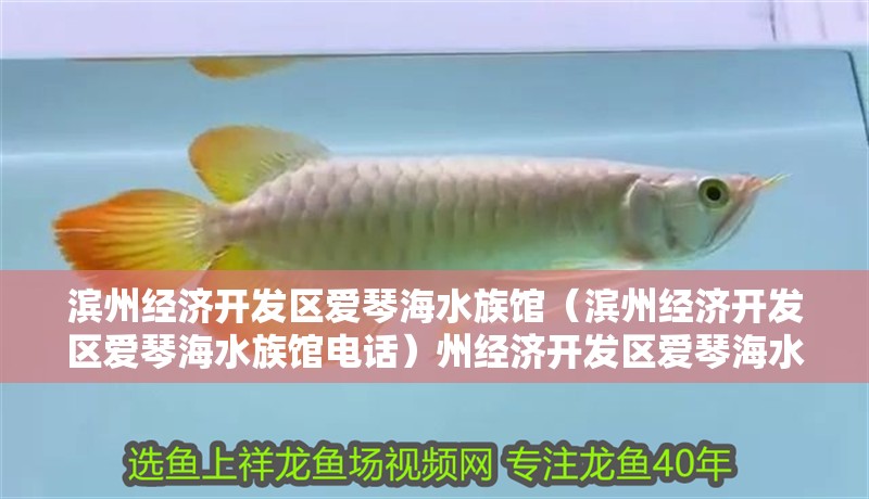 濱州經(jīng)濟(jì)開發(fā)區(qū)愛琴海水族館（濱州經(jīng)濟(jì)開發(fā)區(qū)愛琴海水族館電話）州經(jīng)濟(jì)開發(fā)區(qū)愛琴海水族館，探索海洋奧秘的絕佳