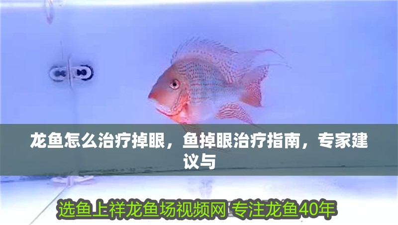 龍魚怎么治療掉眼，魚掉眼治療指南，專家建議與