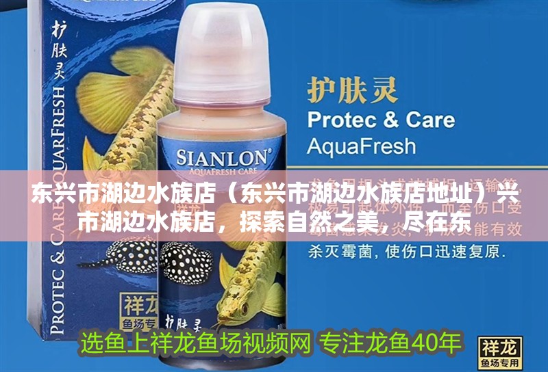 東興市湖邊水族店（東興市湖邊水族店地址）興市湖邊水族店，探索自然之美，盡在東