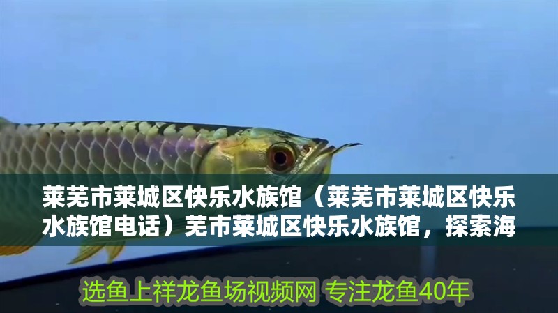 萊蕪市萊城區快樂水族館（萊蕪市萊城區快樂水族館電話）蕪市萊城區快樂水族館，探索海洋生物的奇妙