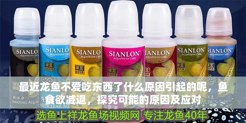 最近龍魚不愛吃東西了什么原因引起的呢，魚食欲減退，探究可能的原因及應對