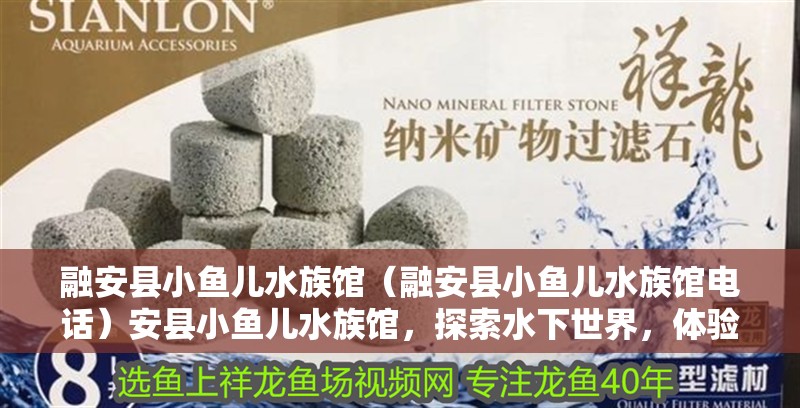 融安縣小魚兒水族館(融安縣小魚兒水族館電話)安縣小魚兒水族館,探索水下世界,體驗自然奇 全國水族館企業名錄 第2張 融安縣小魚兒水族館(融安縣小魚兒水族館電話)安縣小魚兒水族館,探索水下世界,體驗自然奇 融安縣小魚兒水族館(融安縣小魚兒水族館電話)安縣小魚兒水族館,探索水下世界,體驗自然奇 全國水族館企業名錄 第2張