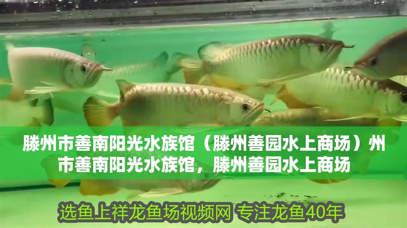 滕州市善南陽光水族館（滕州善園水上商場）州市善南陽光水族館，滕州善園水上商場