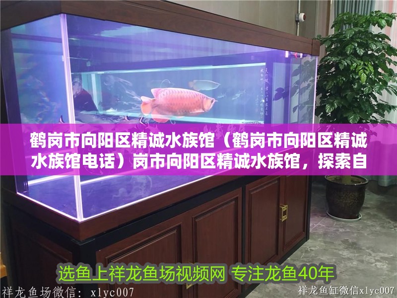 鶴崗市向陽區(qū)精誠水族館（鶴崗市向陽區(qū)精誠水族館電話）崗市向陽區(qū)精誠水族館，探索自然奇觀的絕佳去處 鶴崗市向陽區(qū)精誠水族館（鶴崗市向陽區(qū)精誠水族館電話）崗市向陽區(qū)精誠水族館，探索自然奇觀的絕佳去處 全國水族館企業(yè)名錄 第2張