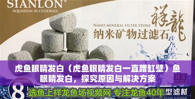 虎魚眼睛發白（虎魚眼睛發白一直蹭缸壁）魚眼睛發白，探究原因與解決方案