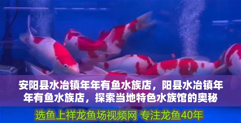 安陽縣水冶鎮(zhèn)年年有魚水族店，陽縣水冶鎮(zhèn)年年有魚水族店，探索當(dāng)?shù)靥厣屦^的奧秘 安陽縣水冶鎮(zhèn)年年有魚水族店，陽縣水冶鎮(zhèn)年年有魚水族店，探索當(dāng)?shù)靥厣屦^的奧秘 全國水族館企業(yè)名錄 第2張