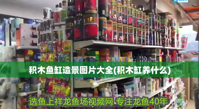 積木魚缸造景圖片大全(積木缸養什么) 積木魚缸造景圖片大全(積木缸養什么) 黃金貓魚百科 第1張