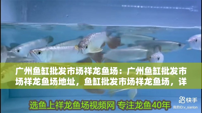 廣州魚缸批發市場祥龍魚場：廣州魚缸批發市場祥龍魚場地址，魚缸批發市場祥龍魚場，詳述其地址與市場特色
