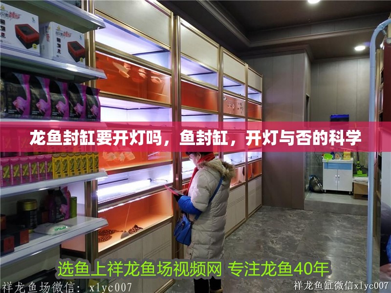 龍魚封缸要開燈嗎，魚封缸，開燈與否的科學