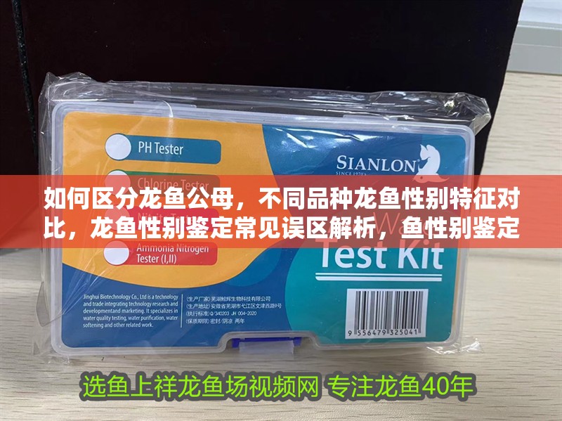 如何區(qū)分龍魚公母，不同品種龍魚性別特征對(duì)比，龍魚性別鑒定常見誤區(qū)解析，魚性別鑒定指南，區(qū)分公母與品種特征對(duì)比及常見