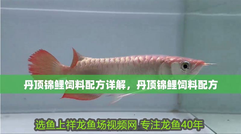 丹頂錦鯉飼料配方詳解，丹頂錦鯉飼料配方