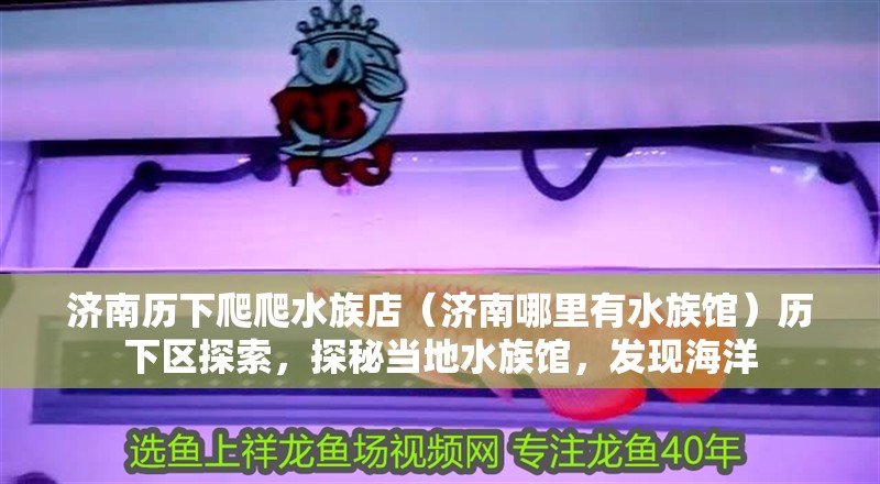 濟南歷下爬爬水族店（濟南哪里有水族館）歷下區探索，探秘當地水族館，發現海洋