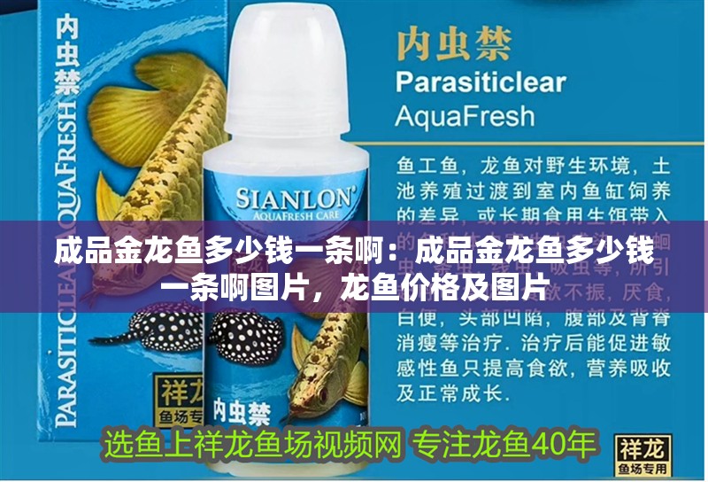 成品金龍魚多少錢一條啊：成品金龍魚多少錢一條啊圖片，龍魚價(jià)格及圖片