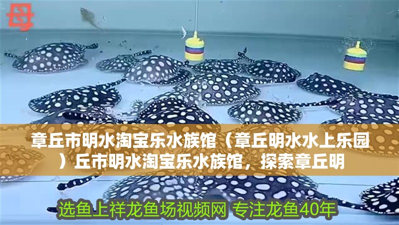 章丘市明水淘寶樂水族館（章丘明水水上樂園）丘市明水淘寶樂水族館，探索章丘明