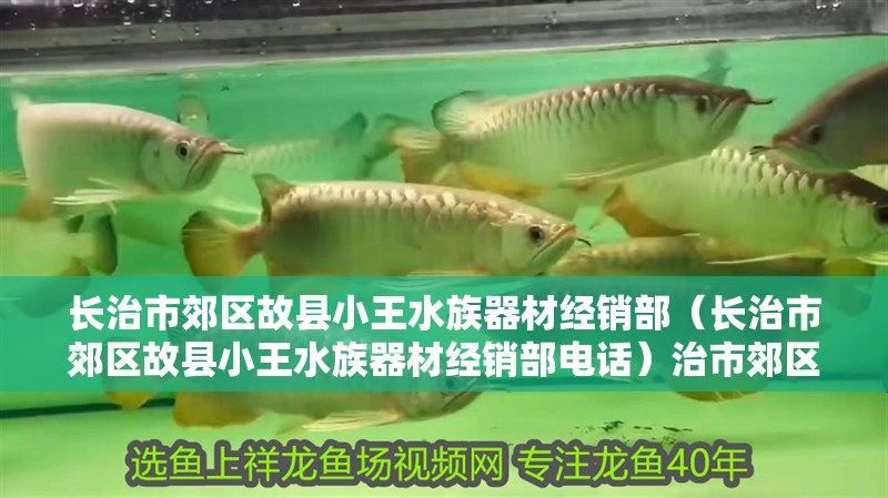 長治市郊區(qū)故縣小王水族器材經(jīng)銷部（長治市郊區(qū)故縣小王水族器材經(jīng)銷部電話）治市郊區(qū)故縣小王水族器材經(jīng)銷部聯(lián)系方式及