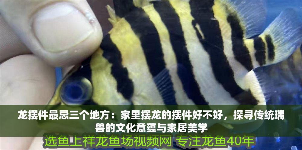 詳細閱讀:龍擺件最忌三個地方:家里擺龍的擺件好不好,探尋傳統(tǒng)瑞獸的文化意蘊與家居美學 龍擺件最忌三個地方:家里擺龍的擺件好不好,探尋傳統(tǒng)瑞獸的文化意蘊與家居美學