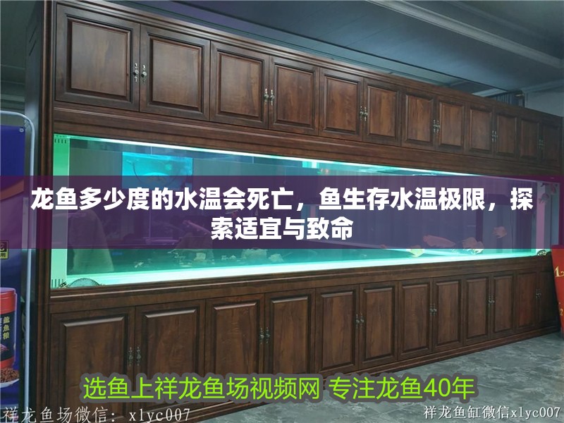 龍魚多少度的水溫會死亡，魚生存水溫極限，探索適宜與致命
