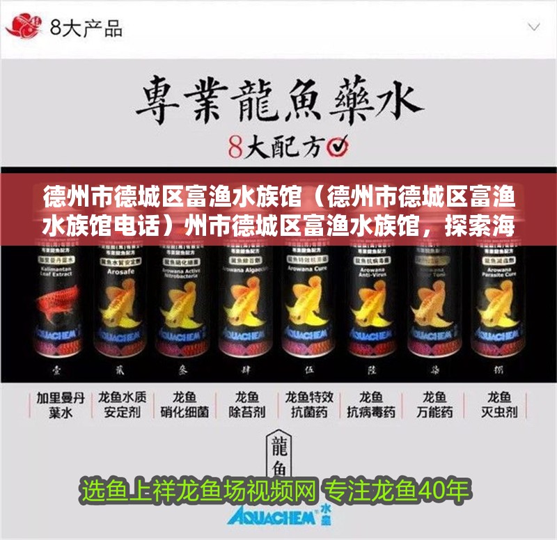德州市德城區(qū)富漁水族館（德州市德城區(qū)富漁水族館電話）州市德城區(qū)富漁水族館，探索海洋生物的奇妙