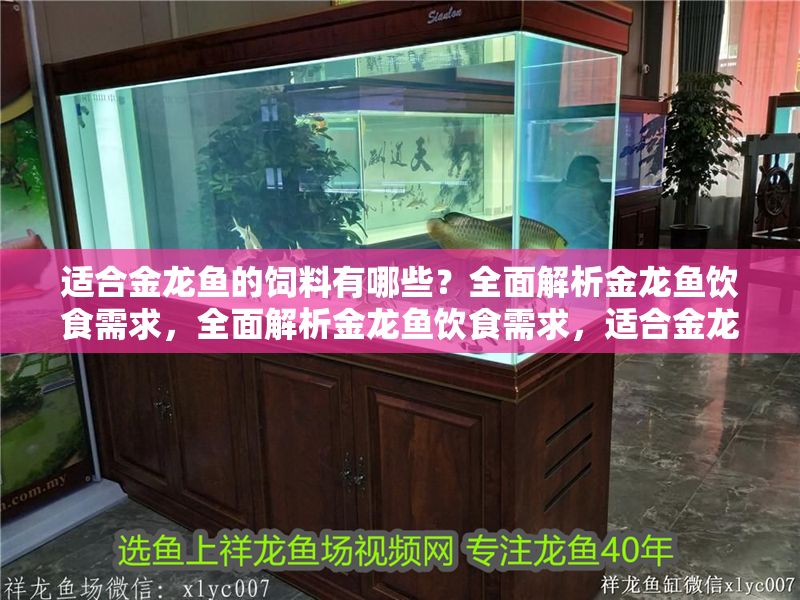 適合金龍魚的飼料有哪些？全面解析金龍魚飲食需求，全面解析金龍魚飲食需求，適合金龍魚的飼料推薦