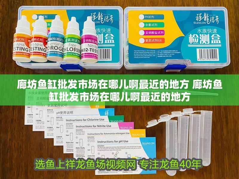 廊坊魚缸批發市場在哪兒啊最近的地方 廊坊魚缸批發市場在哪兒啊最近的地方