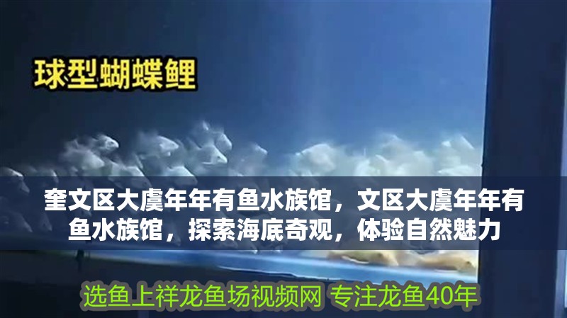 奎文區大虞年年有魚水族館，文區大虞年年有魚水族館，探索海底奇觀，體驗自然魅力