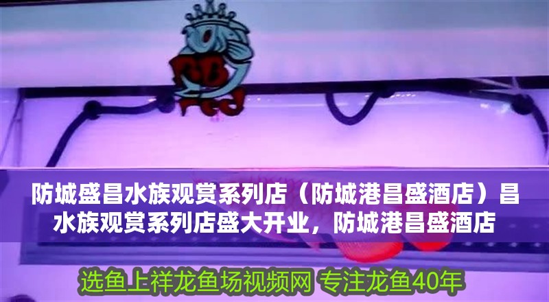 防城盛昌水族觀賞系列店（防城港昌盛酒店）昌水族觀賞系列店盛大開業，防城港昌盛酒店