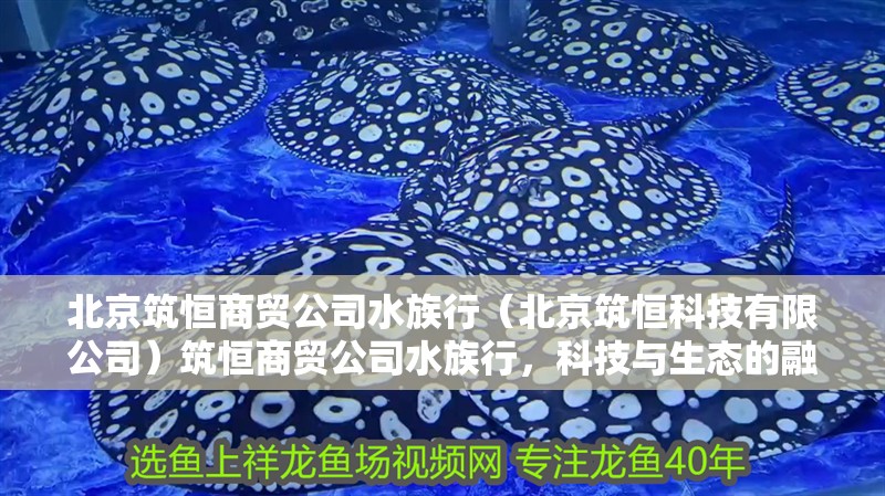 北京筑恒商貿公司水族行（北京筑恒科技有限公司）筑恒商貿公司水族行，科技與生態的融合，打造專業