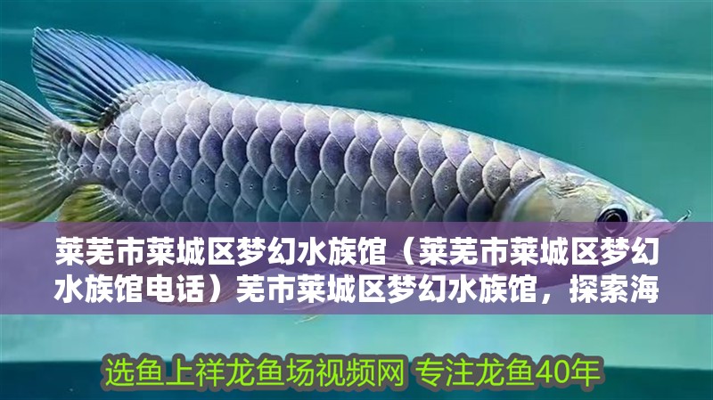 萊蕪市萊城區夢幻水族館（萊蕪市萊城區夢幻水族館電話）蕪市萊城區夢幻水族館，探索海洋奧秘，體驗 萊蕪市萊城區夢幻水族館（萊蕪市萊城區夢幻水族館電話）蕪市萊城區夢幻水族館，探索海洋奧秘，體驗 全國水族館企業名錄 第2張