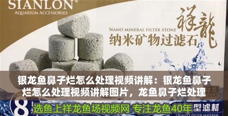 銀龍魚鼻子爛怎么處理視頻講解：銀龍魚鼻子爛怎么處理視頻講解圖片，龍魚鼻子爛處理