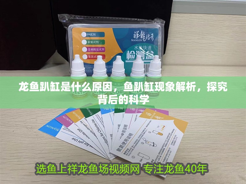 龍魚趴缸是什么原因，魚趴缸現(xiàn)象解析，探究背后的科學(xué)