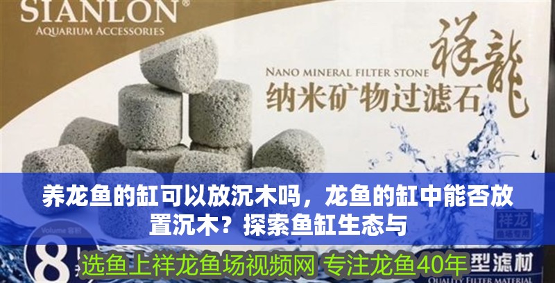 養龍魚的缸可以放沉木嗎，龍魚的缸中能否放置沉木？探索魚缸生態與