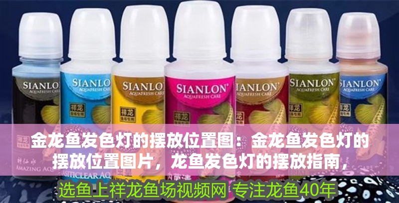 金龍魚發色燈的擺放位置圖：金龍魚發色燈的擺放位置圖片，龍魚發色燈的擺放指南，