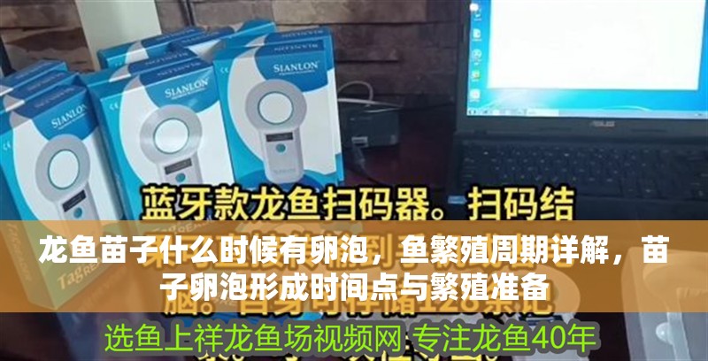 銀龍魚多大算成魚：銀龍魚多大算成魚了，龍魚成魚標準解析，決定銀龍魚成熟年齡的關鍵