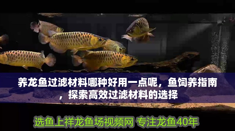 養(yǎng)龍魚過濾材料哪種好用一點呢，魚飼養(yǎng)指南，探索高效過濾材料的選擇